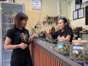 Sweedish Delight staff helping customer with cannabis selection behind dispensary counter in Koh Samui